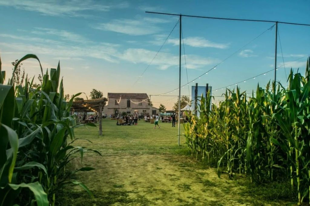 Cesenatico: Exitum Biglietto d'ingresso al labirinto di mais