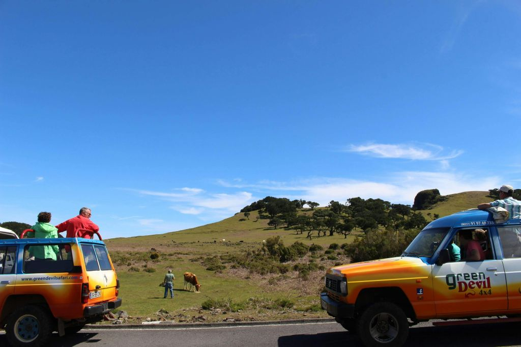 Madeira: Passeio guiado de jipe 4X4 com teto aberto
