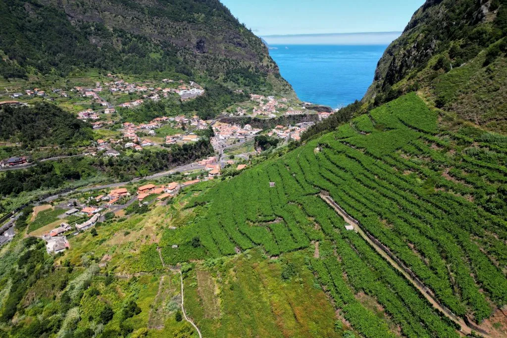 Madiera: Piscinas vulcânicas e passeio de jipe 4X4 pela floresta