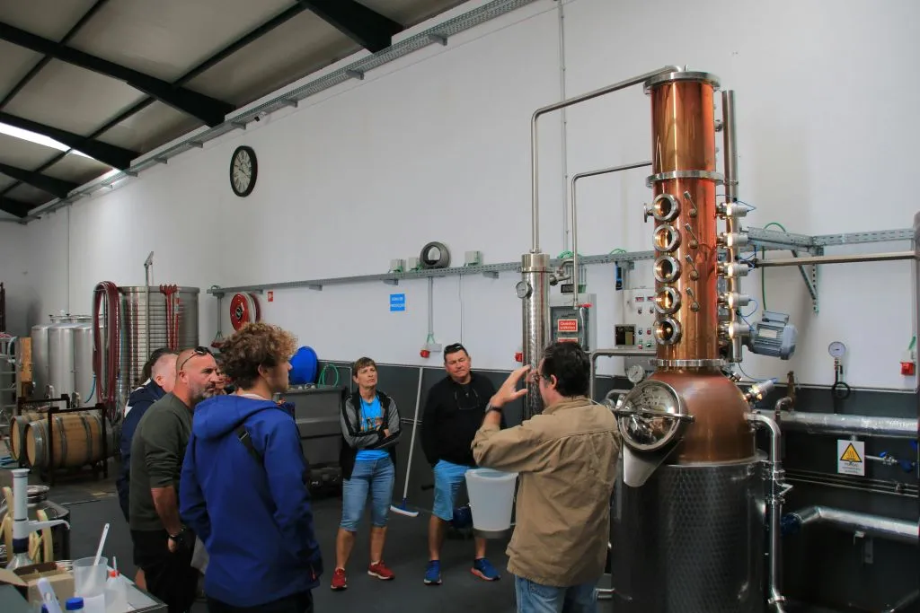 Southwest Madeira: Guided 4x4 Jeep Tour + Rum & Gin Distillery Visit