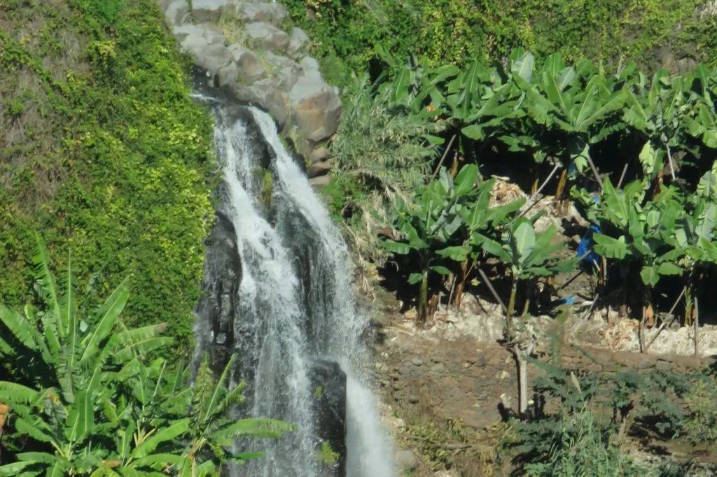 Southwest Madeira: Guided 4x4 Jeep Tour + Rum & Gin Distillery Visit
