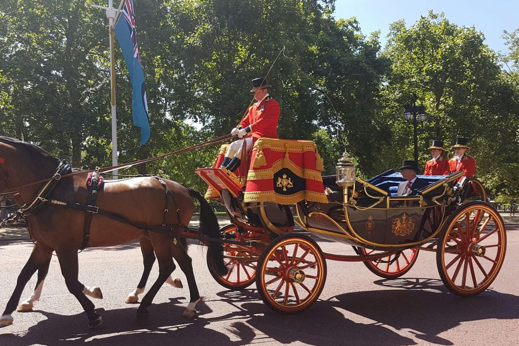 London: Guided City Tour