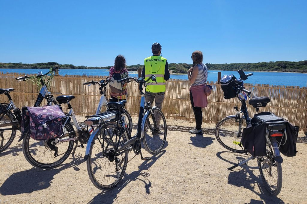 Valencia: Half-Day Guided Bike Tour