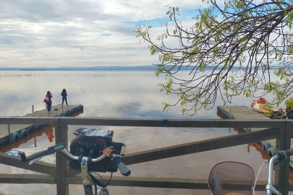 Valencia: Half-Day Guided Bike Tour