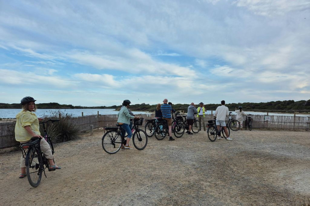 Valencia: Half-Day Guided Bike Tour