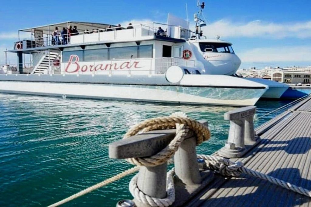 Valencia: Sunset Catamaran Cruise