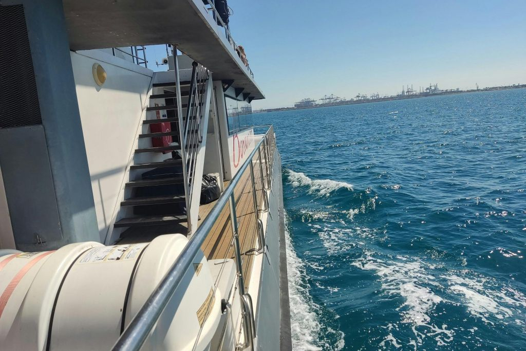 Valencia: Catamaran Cruise + Swim