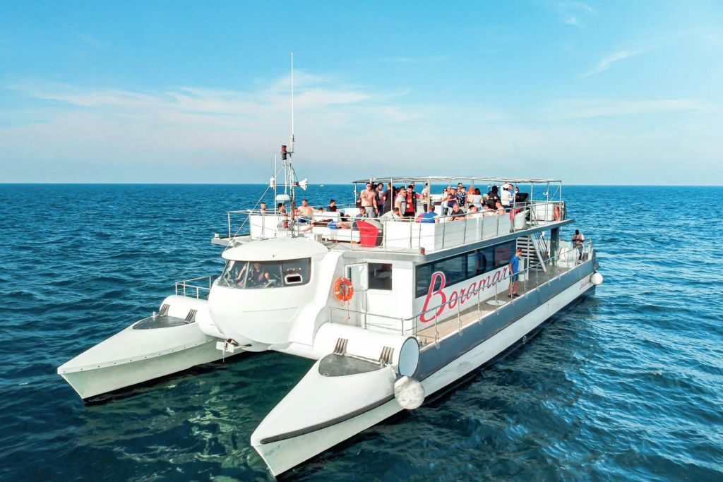 Valencia: Catamaran Cruise + Swim