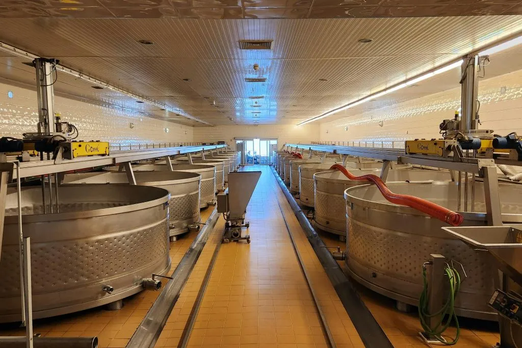 Arrábida & Comporta: Full-Day Guided Tour from Lisbon + Wine Tasting
