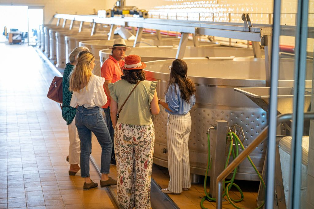 Arrábida & Comporta: Full-Day Guided Tour from Lisbon + Wine Tasting