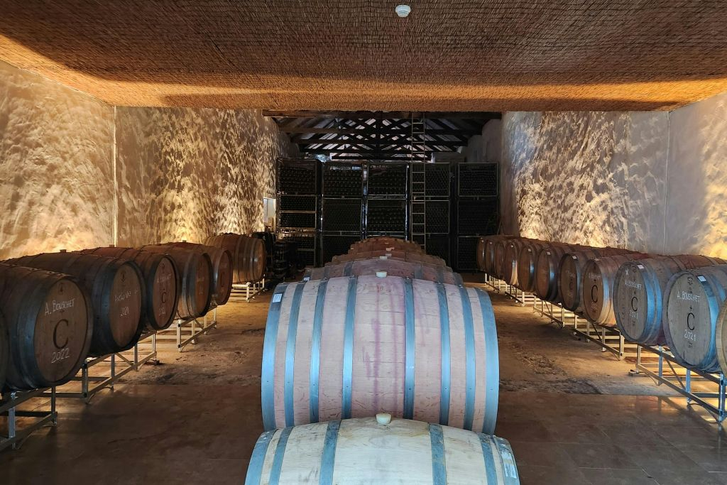 Arrábida & Comporta: Full-Day Guided Tour from Lisbon + Wine Tasting