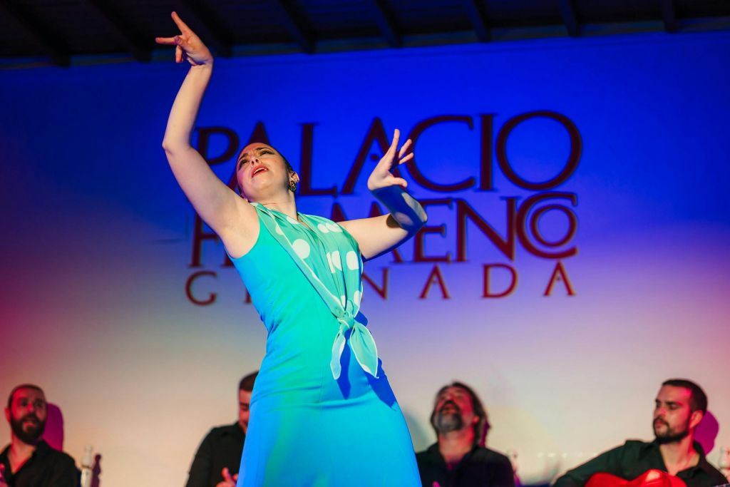 Palacio Granada: Espectáculo Flamenco