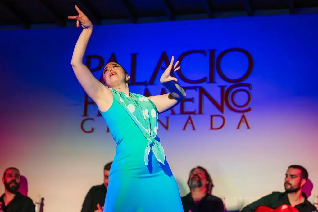 Palacio Granada: Espectáculo Flamenco