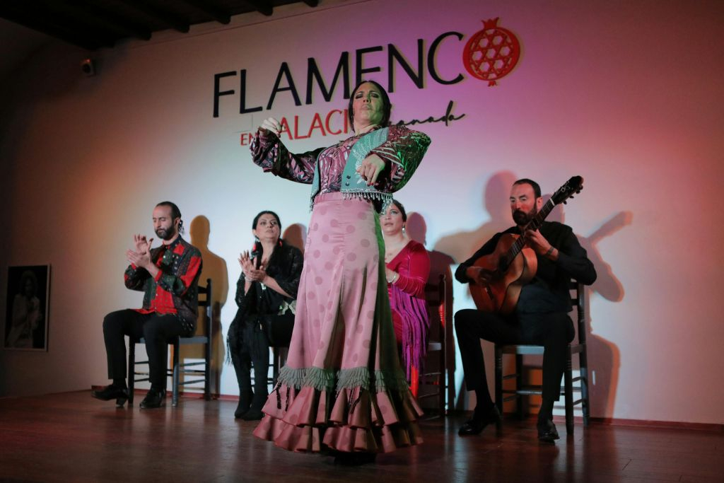 Palacio Granada: Espectáculo Flamenco
