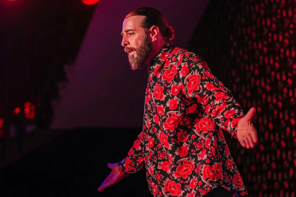 Palacio Granada: Espectáculo Flamenco