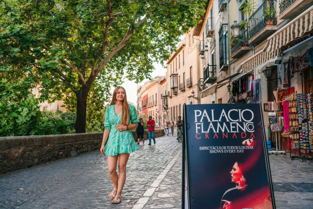 Palacio Granada: Espectáculo Flamenco