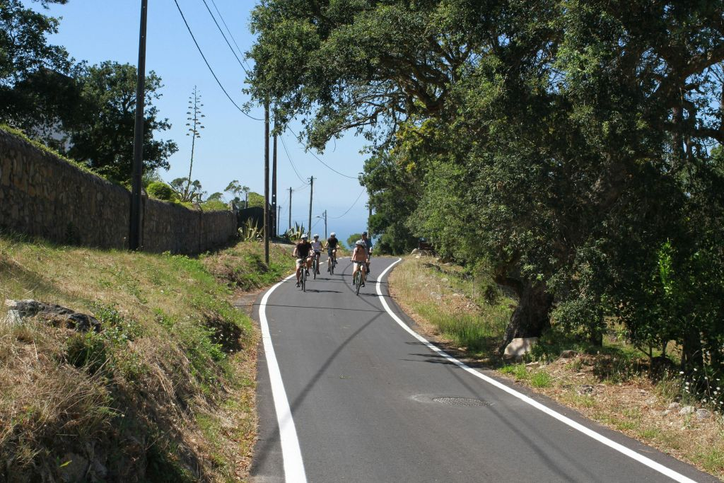 Sintra & Cascais: Guided E-Bike Tour from Lisbon
