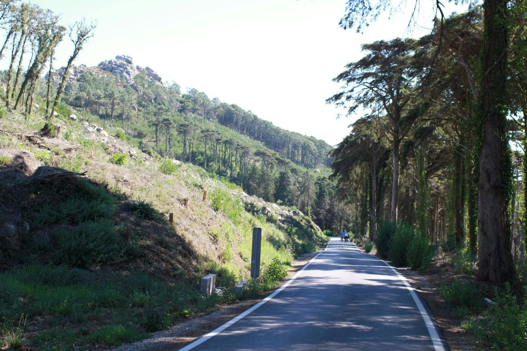 Sintra & Cascais: Guided E-Bike Tour from Lisbon