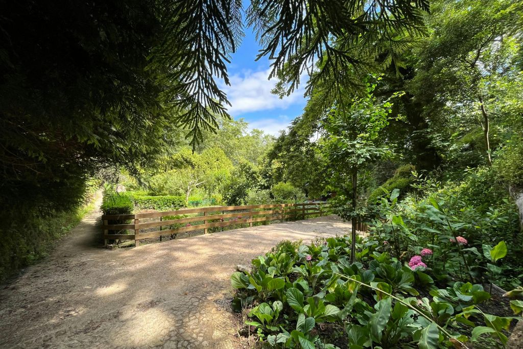 Sintra: Half-Day Walking Tour