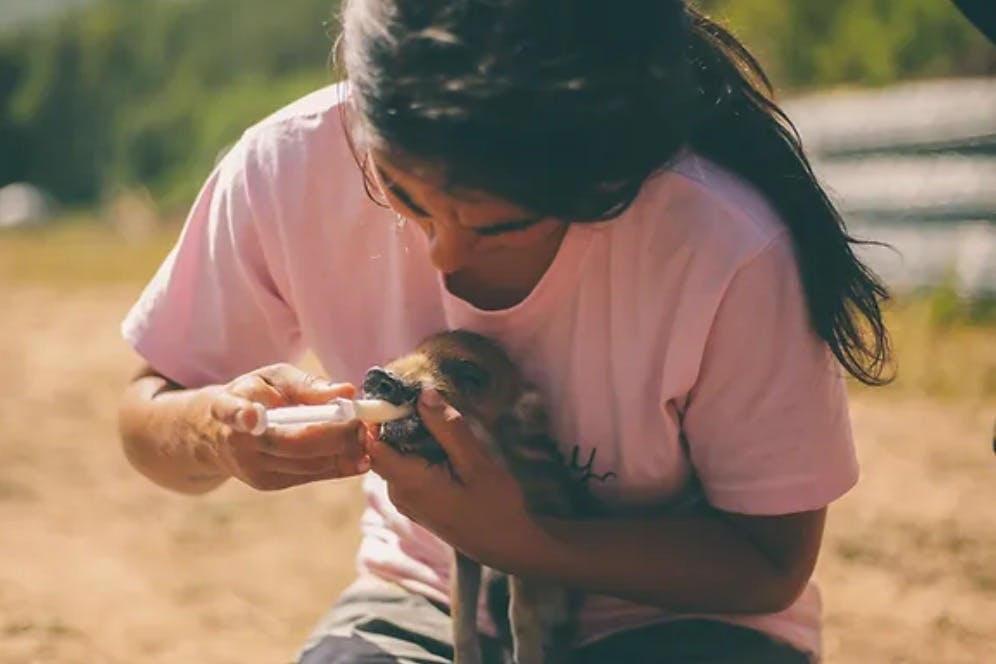 Aguilar de Segarra: One-Day Care Taker at Wild Forest Reserve Foundation