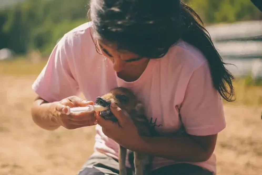 Aguilar de Segarra: One-Day Care Taker at Wild Forest Reserve Foundation