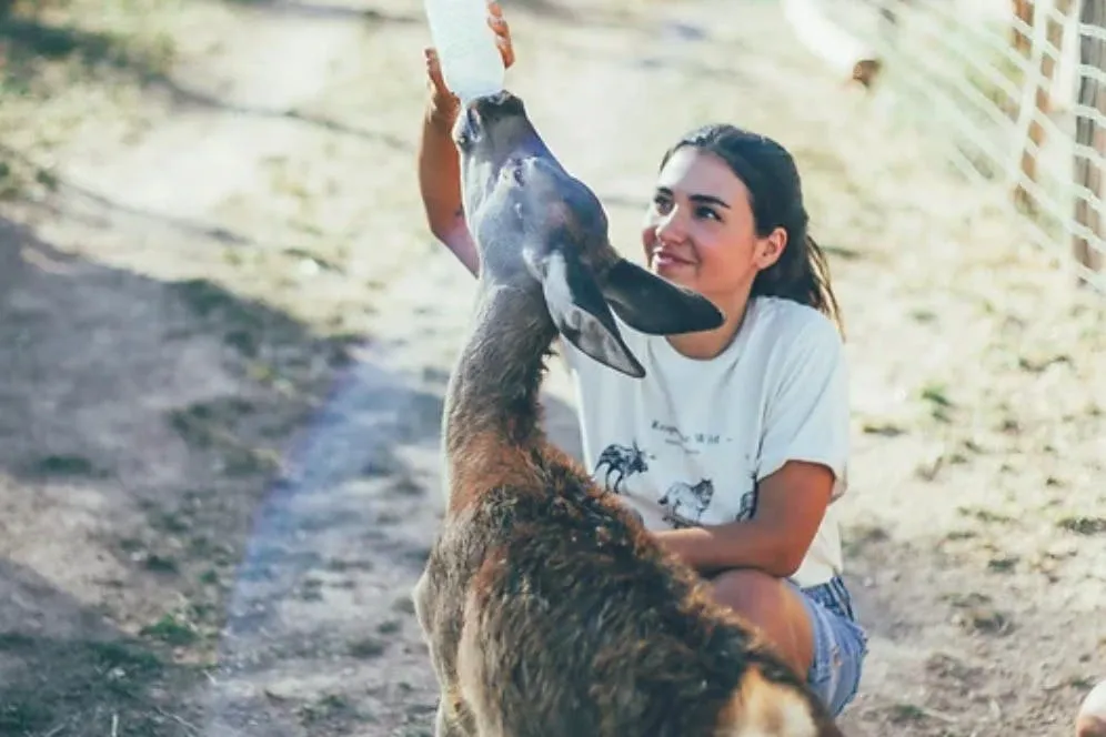 Aguilar de Segarra: One-Day Care Taker at Wild Forest Reserve Foundation