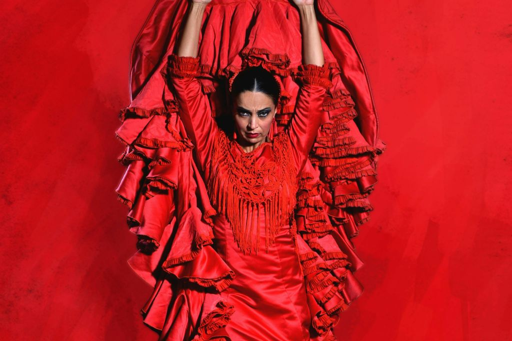 Teatro Flamenco Málaga: Espectáculo Flamenco