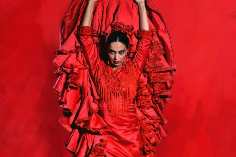 Teatro Flamenco Málaga: Espectáculo Flamenco