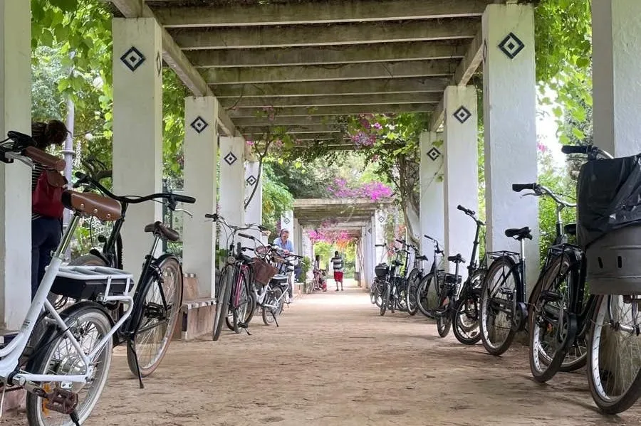 Seville: 2-Hour Guided E-Bike Tour