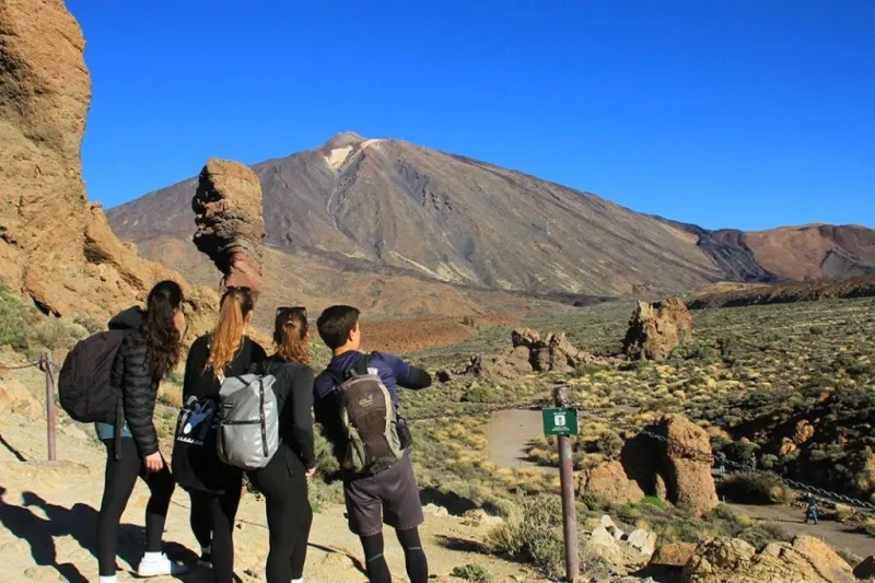 Tenerife: Excursión guiada de medio día al Parque Nacional del Teide