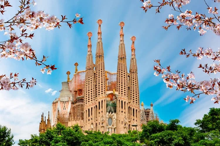 Visita guidata della Sagrada Familia e Casa Batlló "Accesso Rapido"