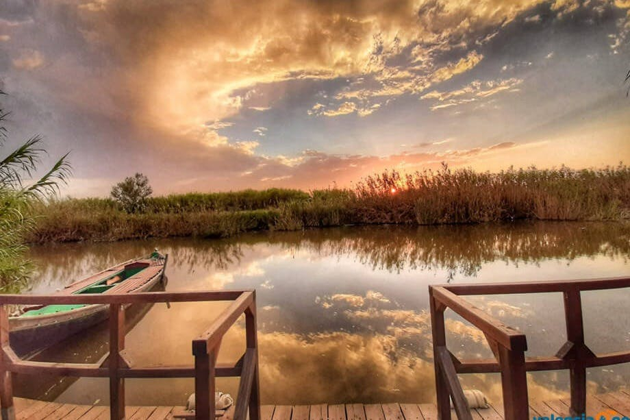 Albufera: excursão guiada de um dia saindo de Valência + passeio de barco