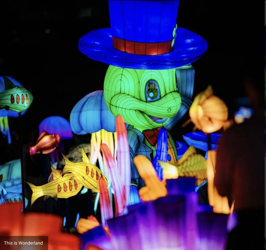 Pinocchio: Back To Wood