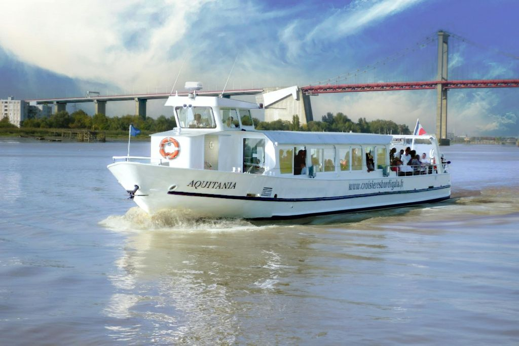 Bordeaux: Guided River Cruise + Drinks