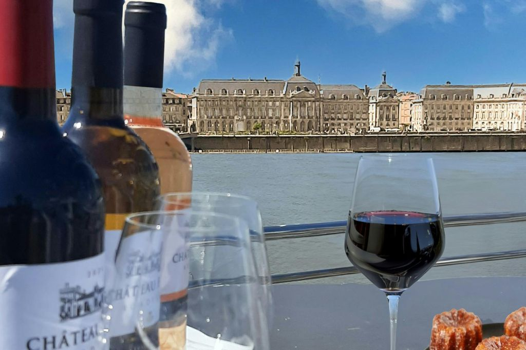 Bordeaux: Guided River Cruise + Drinks