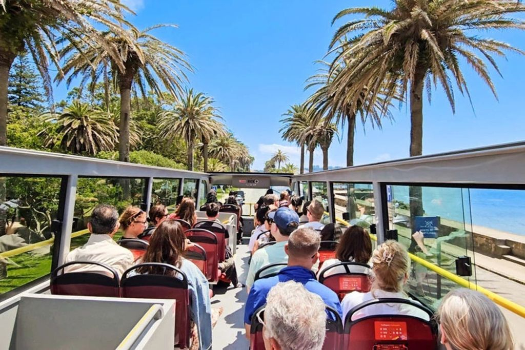 City Sightseeing Porto: 48 ore di autobus Hop-on Hop-off + crociera e degustazione del porto