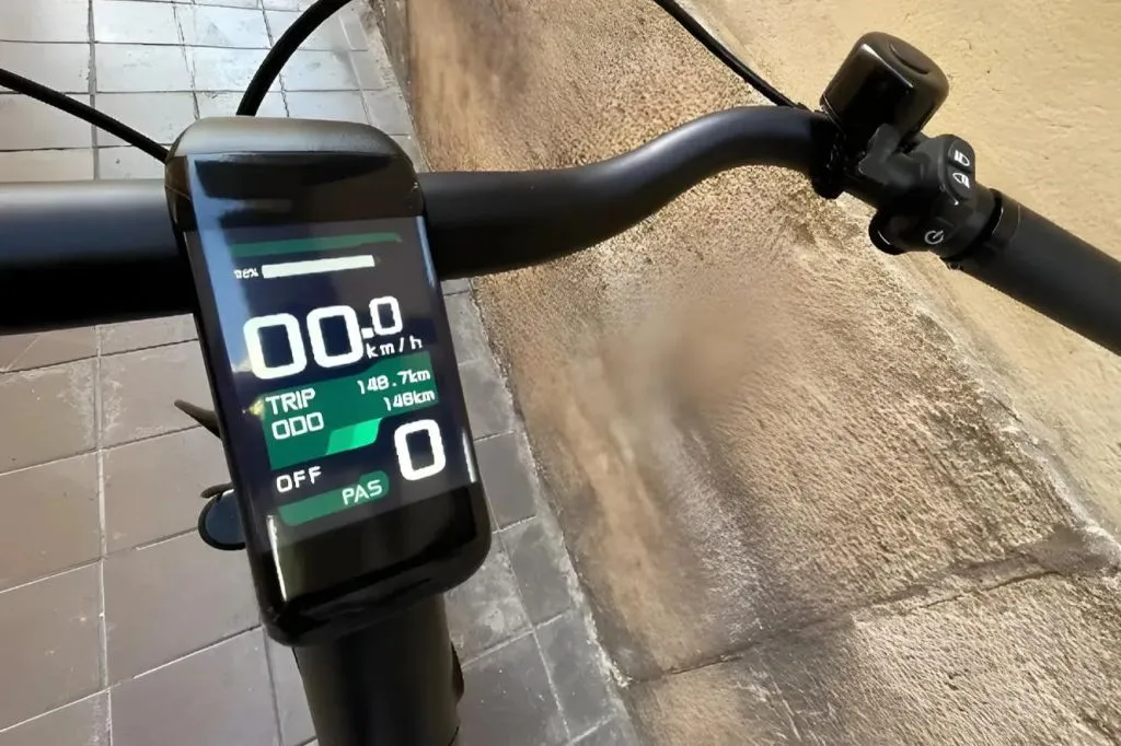 Valencia: Electric Bike Rental