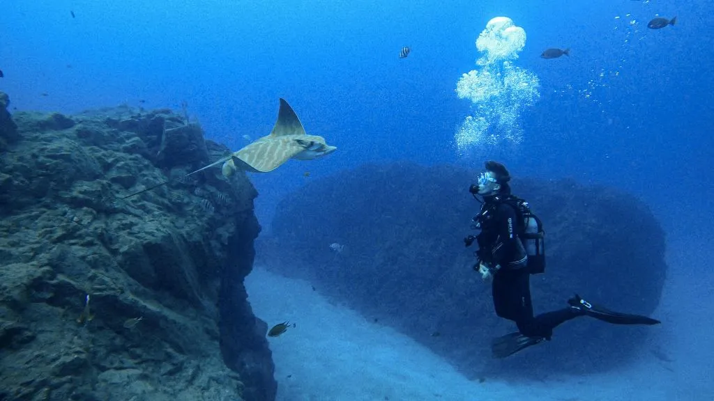 Los Cristianos: Clase guiada de buceo