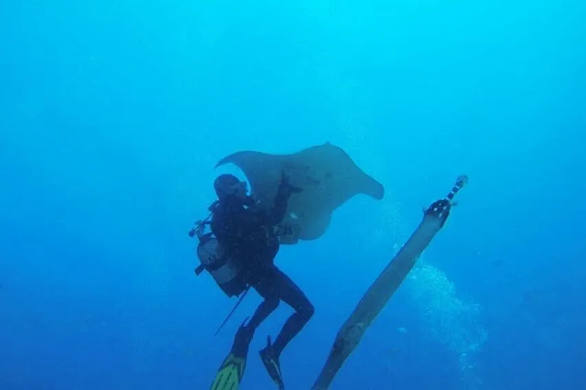 Los Cristianos: Clase guiada de buceo