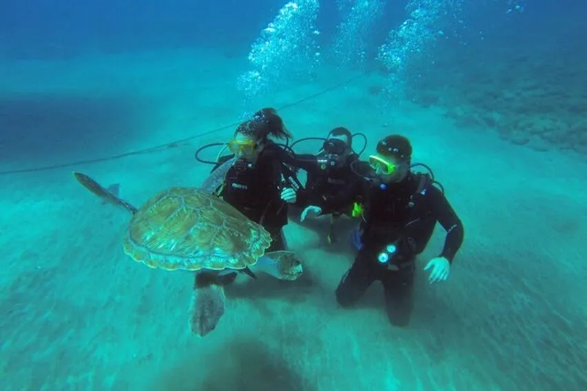Los Cristianos: Clase guiada de buceo