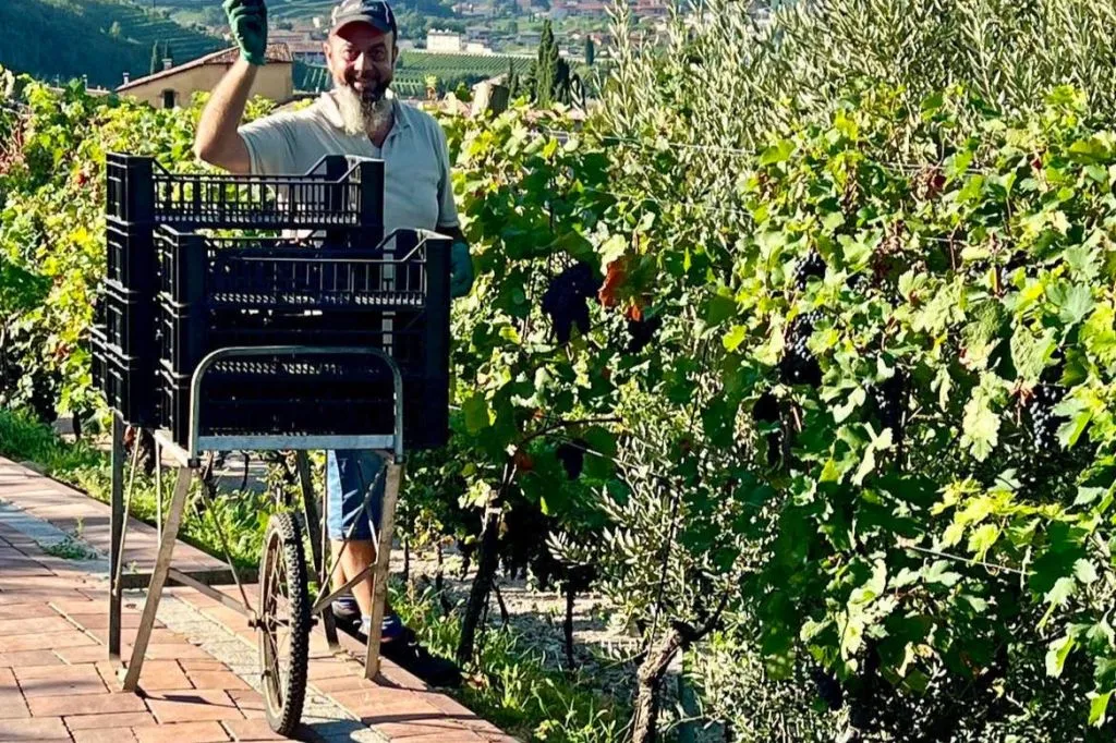 Cantina Fratelli Vogadori: esperienza di degustazione di vini Valpolicella