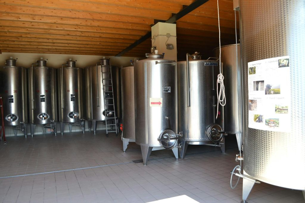 Cantina Fratelli Vogadori: Valpolicella Wine Tasting Experience