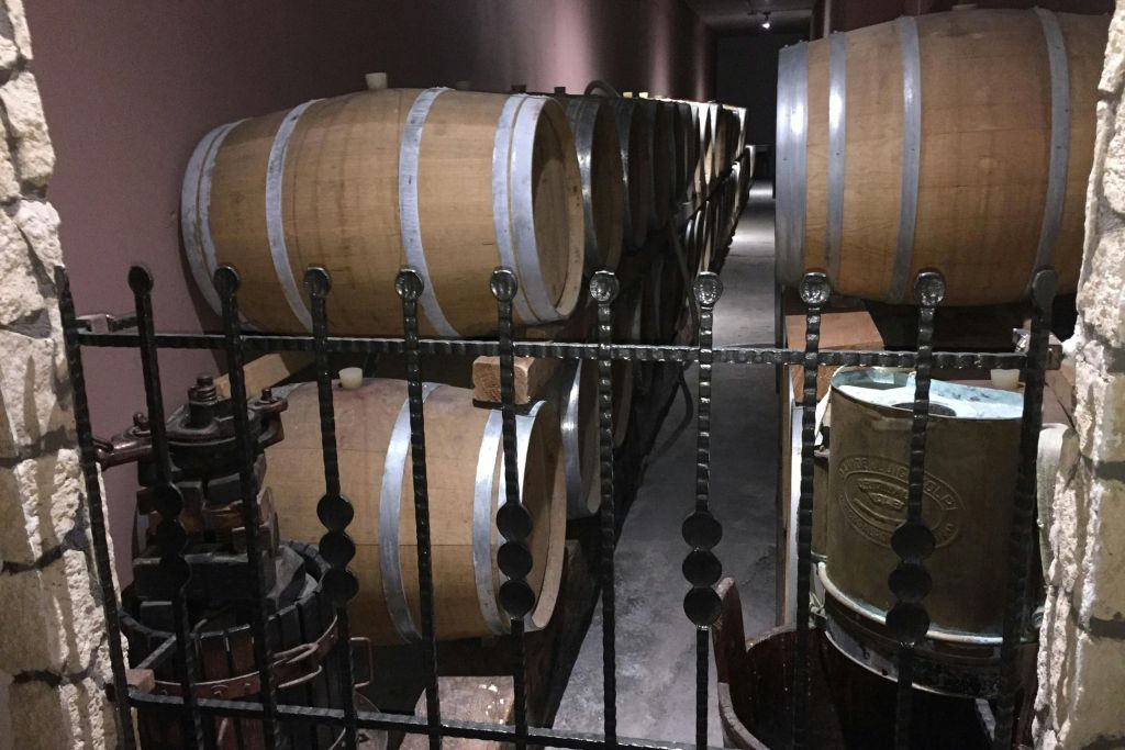 Cantina Fratelli Vogadori: Valpolicella Wine Tasting Experience