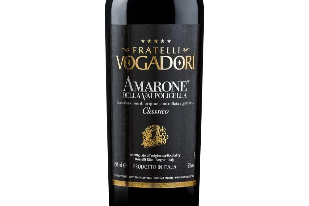 Cantina Fratelli Vogadori: esperienza di degustazione di vini Valpolicella
