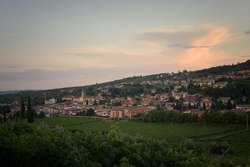 Cantina Fratelli Vogadori: Valpolicella Wine Tasting Experience