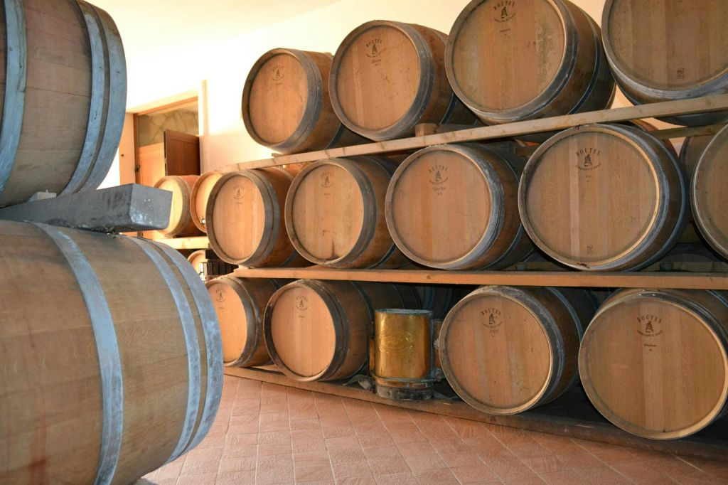 Cantina Fratelli Vogadori: Valpolicella Wine Tasting Experience