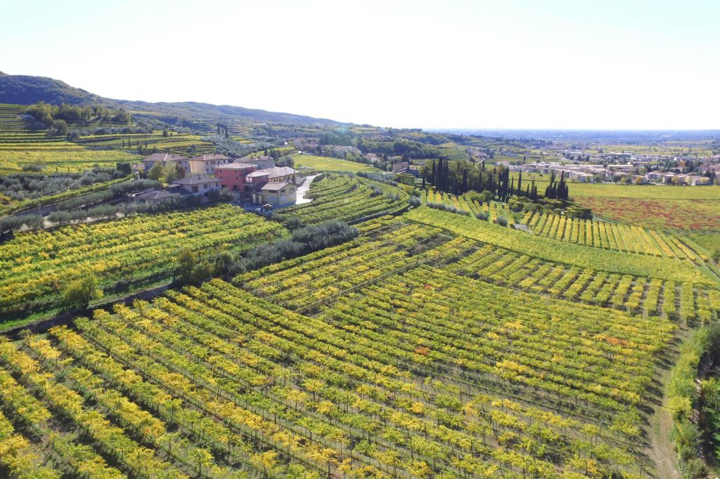 Cantina Fratelli Vogadori: Valpolicella Wine Tasting Experience