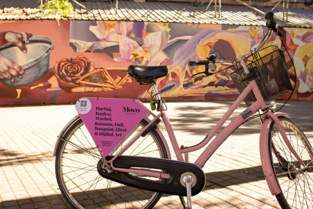 Barcellona: Tour guidato in bicicletta dell'arte di strada