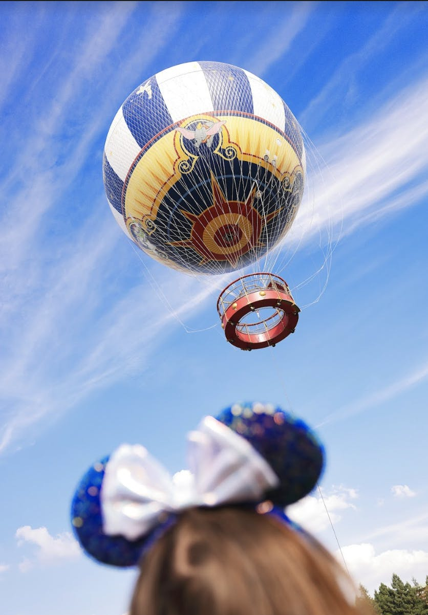 Balloon Flight PanoraMagique + Lumigny Safari Reserve
