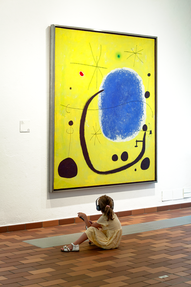 Fundació Joan Miró: Skip The Line Ticket